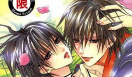 耽美动漫日本,日本耽美文化的魅力之旅